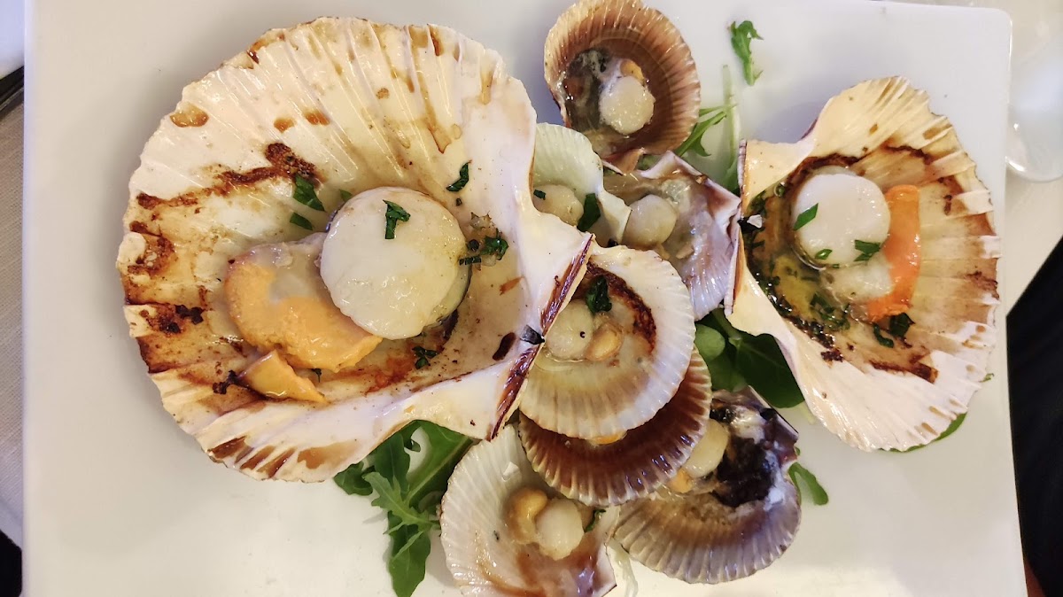 Ristorante Faro Piave Photo 4
