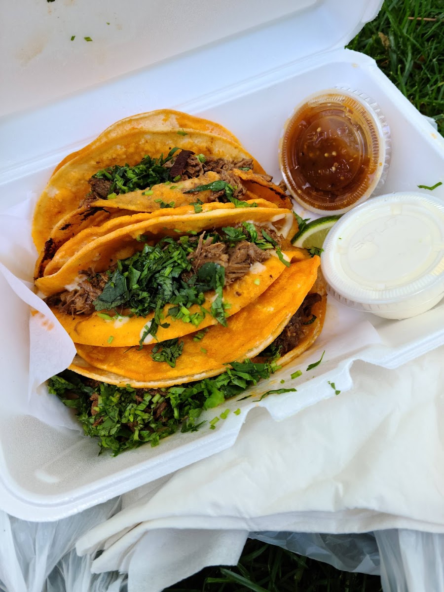 Mexican Grill Stand Photo 10