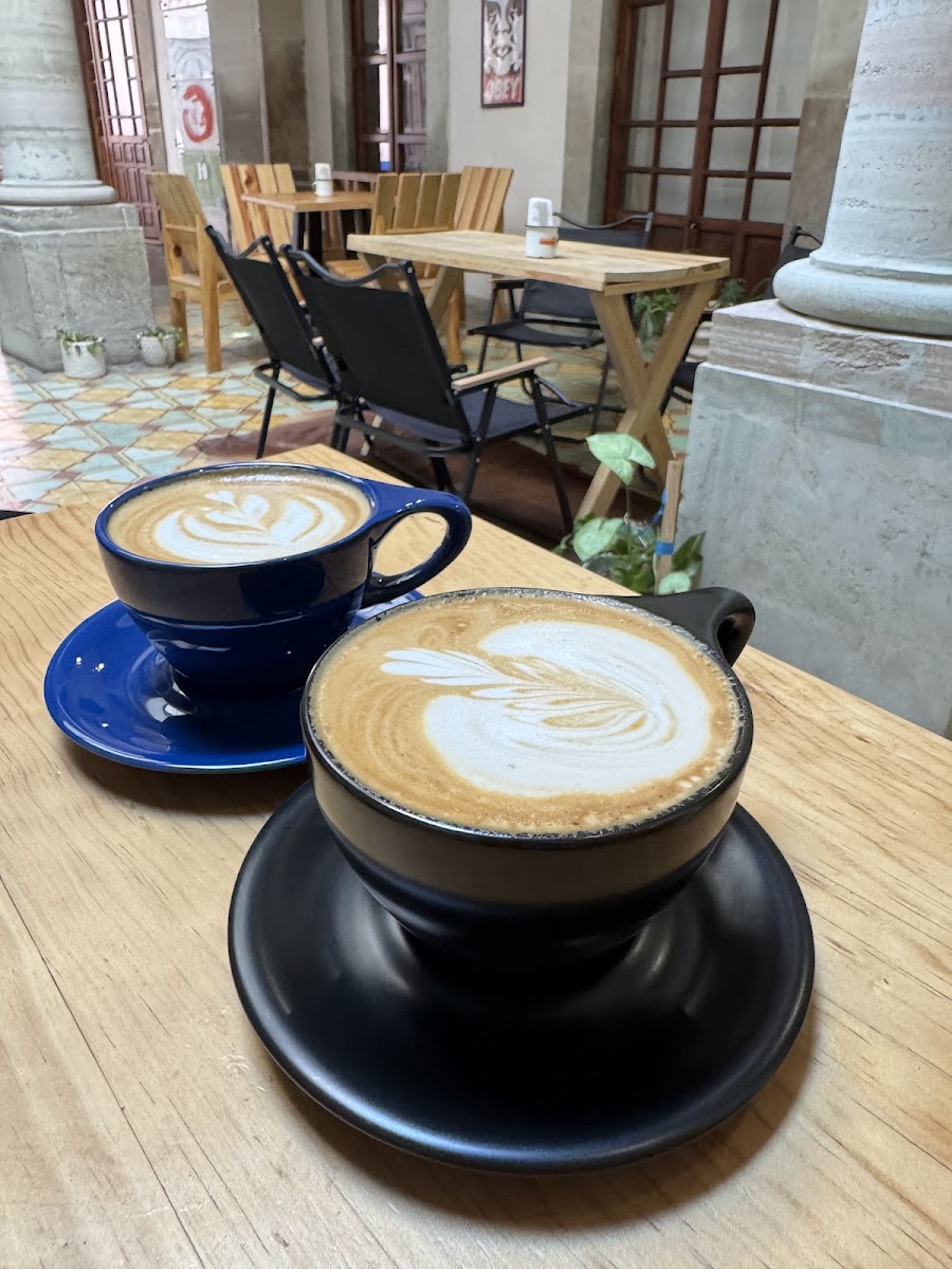 Prendido Café Photo 6