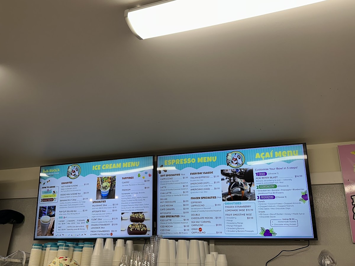Big Buck's Homemade Ice Cream Photo Menu 1