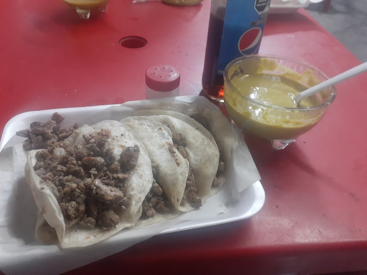 Tacos de carne asada La Regia Photo 10