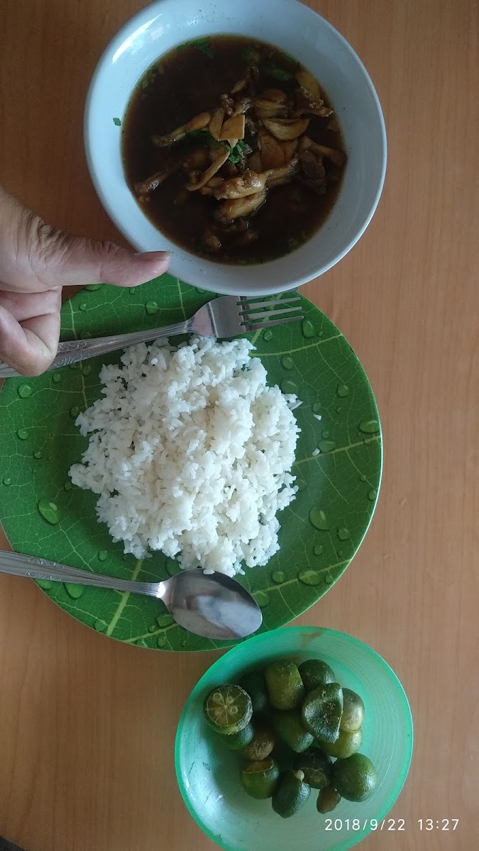 Sweke Kodok Pak Sapto Photo 9