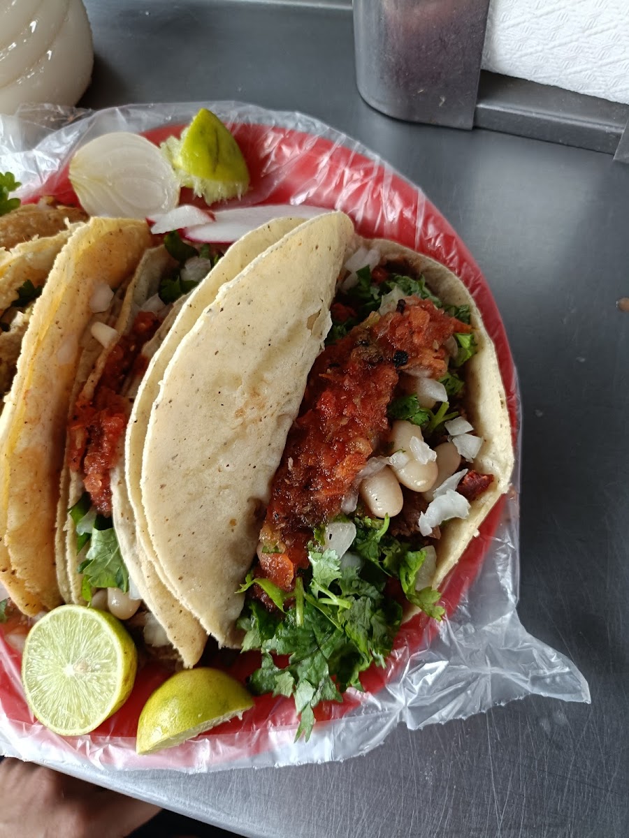 Tacos el primo