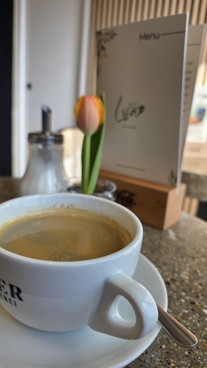 Lisa Café - Bar Photo 5