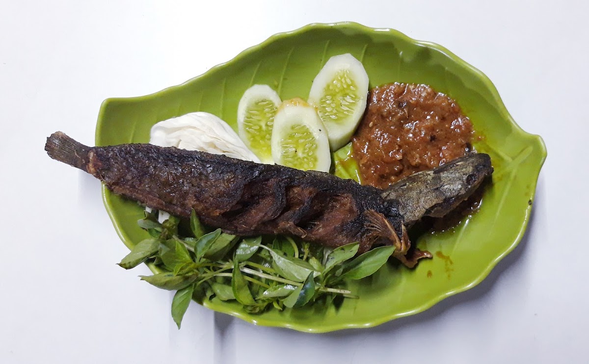 Pecel Lele Bu Maryati Kutabumi Photo 7