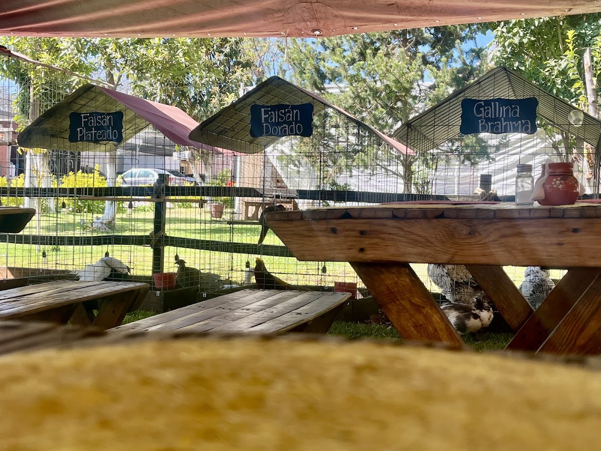 Barbacoa Rancho San Vicente Photo 4