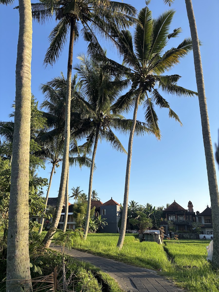 Boodaya Coffee Ubud Photo 5