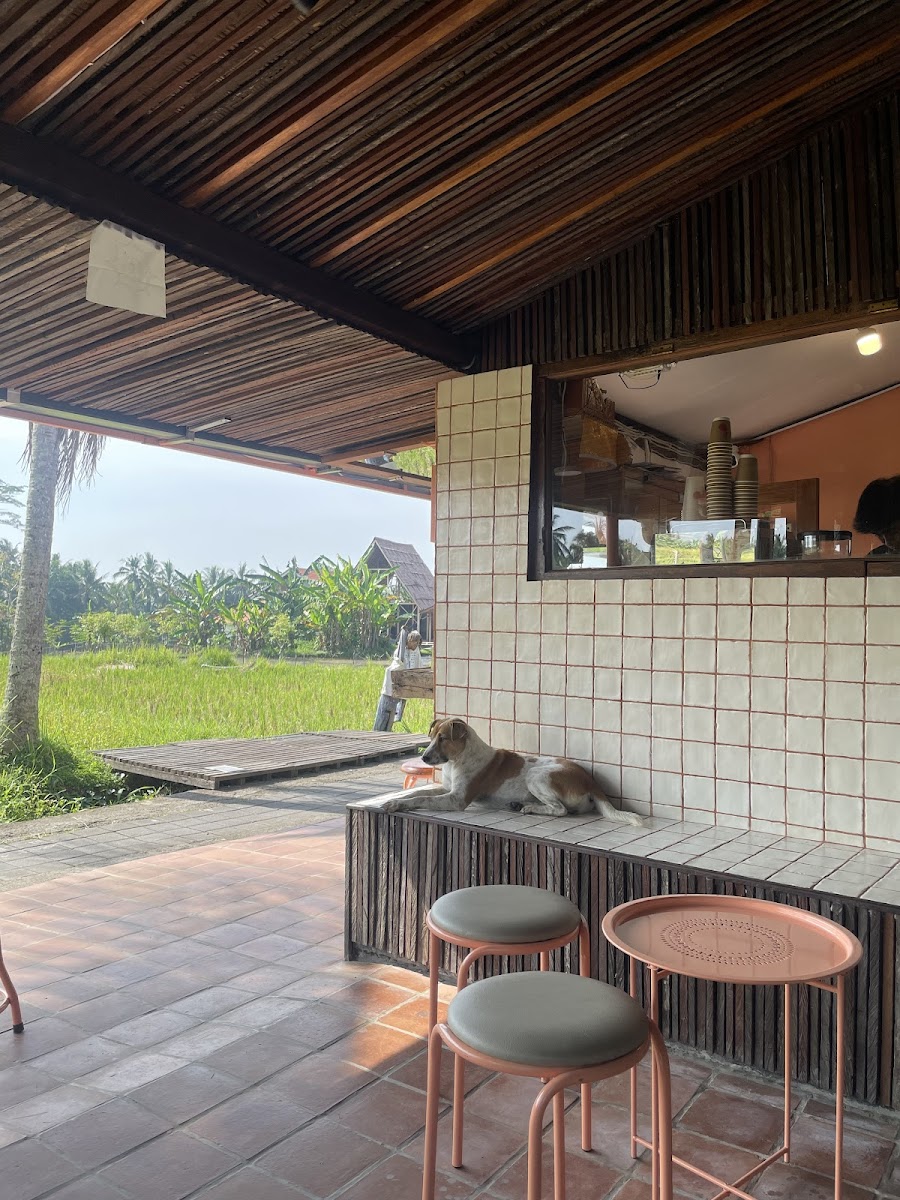 Boodaya Coffee Ubud Photo 7