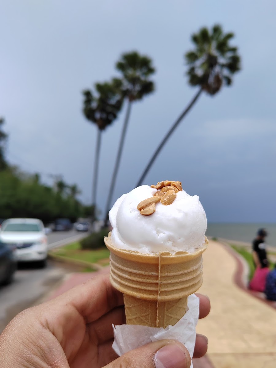 Three Palm Trees Coconut Ice Cream Photo 6