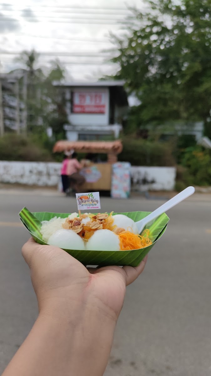 Three Palm Trees Coconut Ice Cream Photo 8