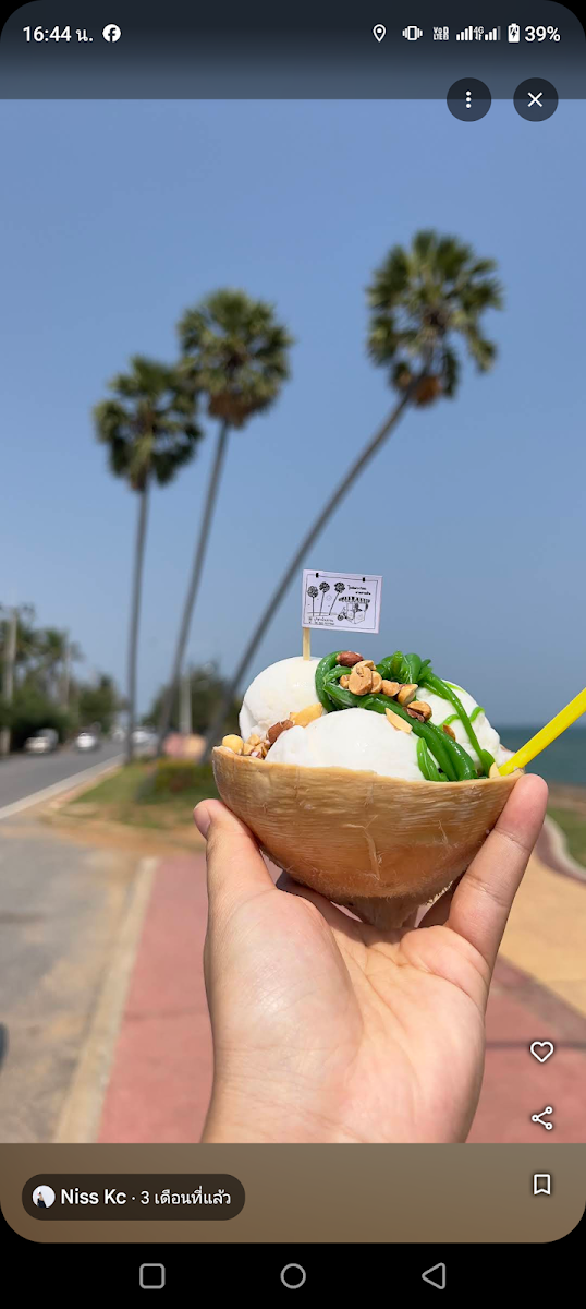 Three Palm Trees Coconut Ice Cream Photo 9