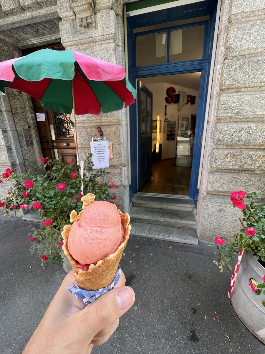 EISVOGEL ZENTRALE FÜR GUTES