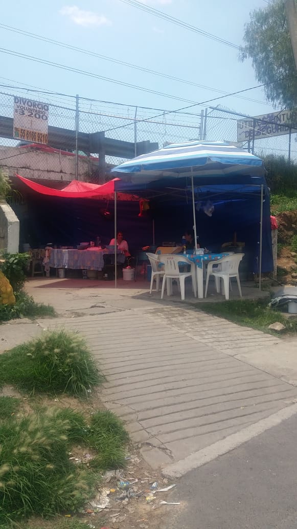 Carnitas el potosino
