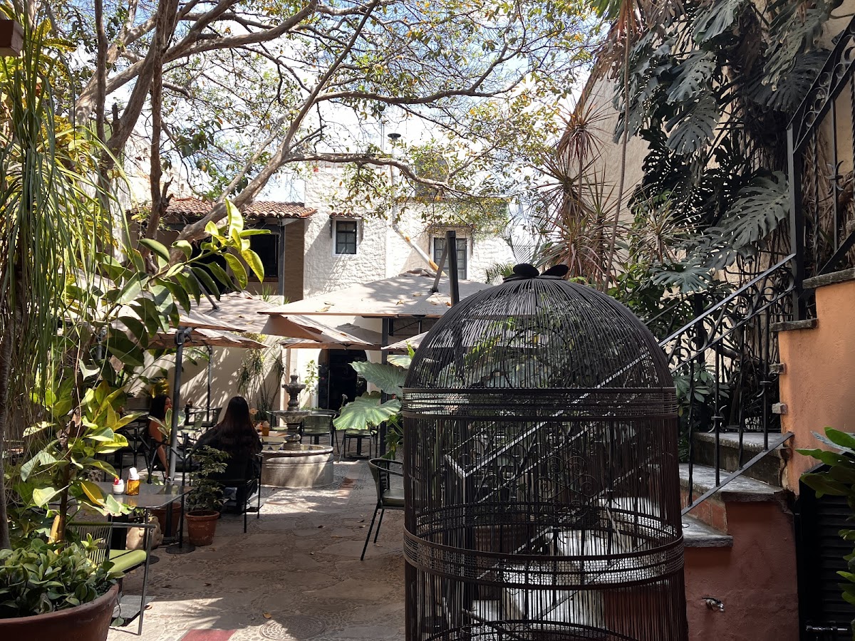 La Tisana Cafe