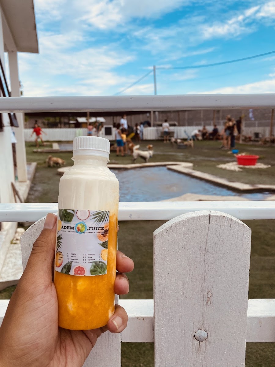 Adem Juices & Smoothies Photo 9