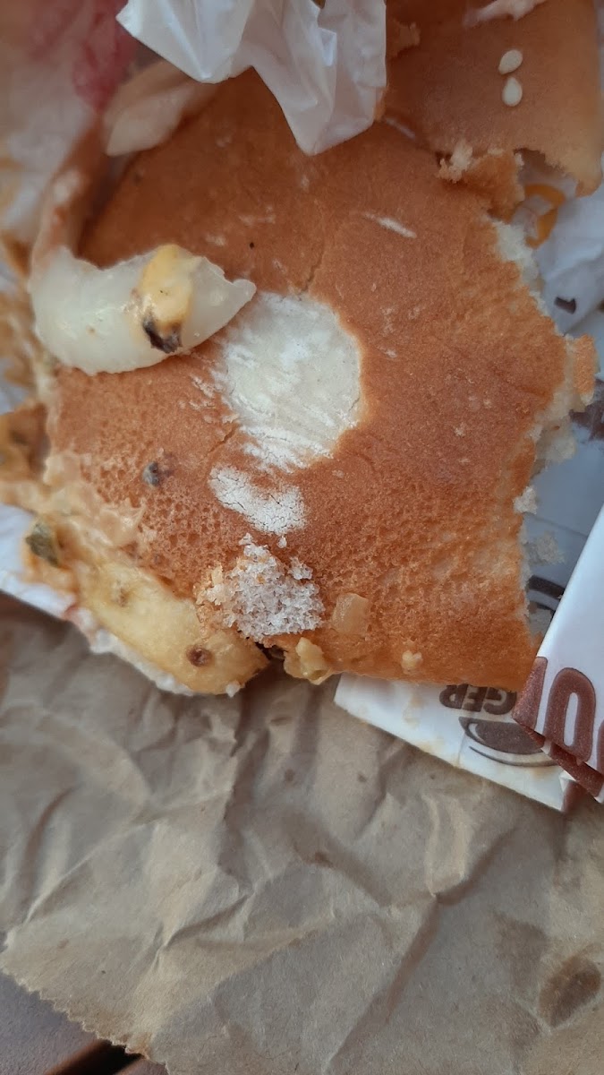 Burger King Oyten Photo 8