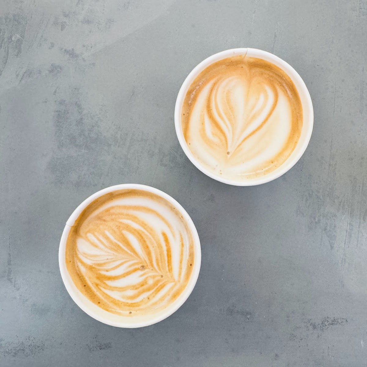 Delatribu Specialty Coffee Photo 7
