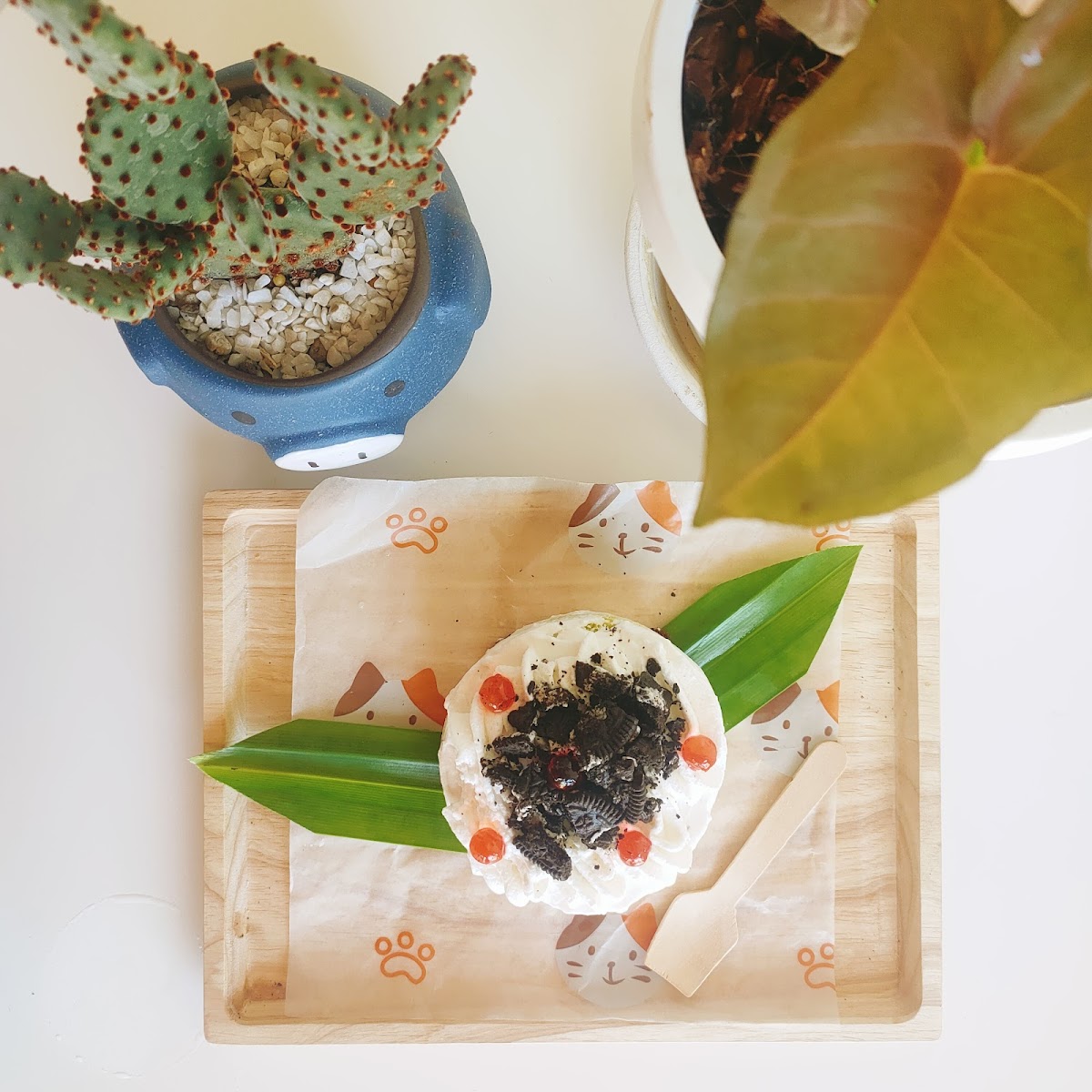 Kaomai Cafe Photo 10