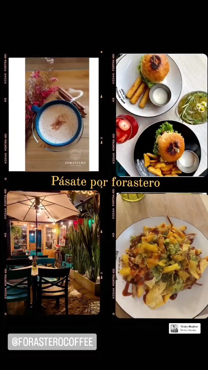 Forastero Coffee & Bistró Photo 2