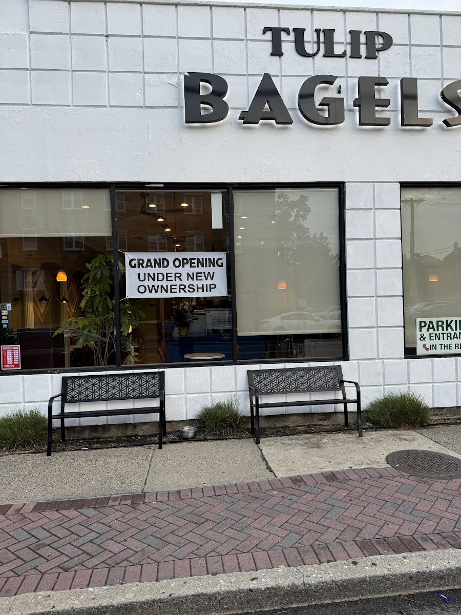 Tulip Bagels ????