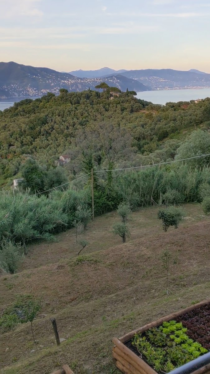 Battigran Photo 2