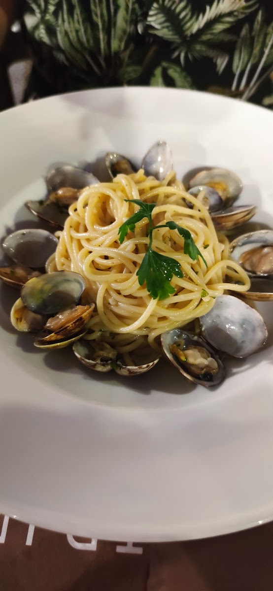Pinocchio Ristorante Pizzeria Photo 6