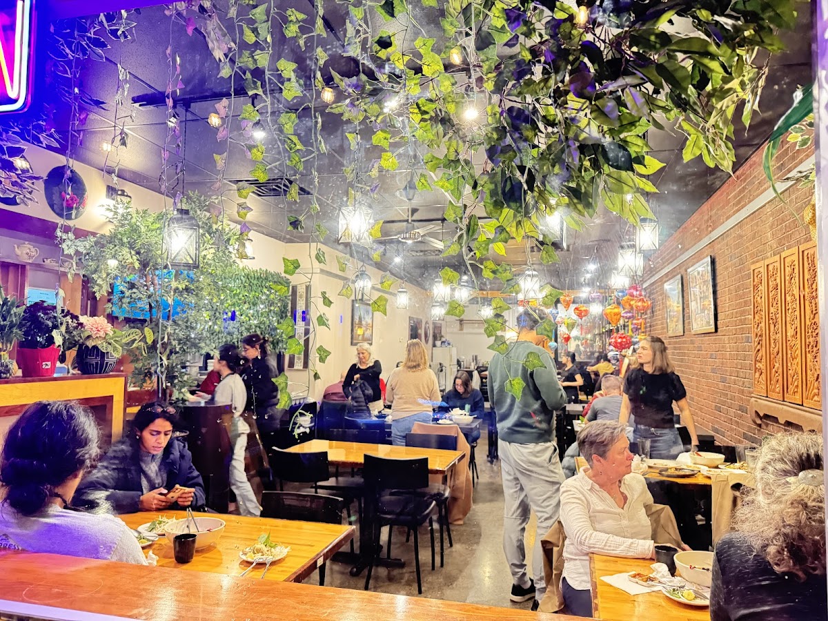 Vena Vietnamese Cuisine Photo 6