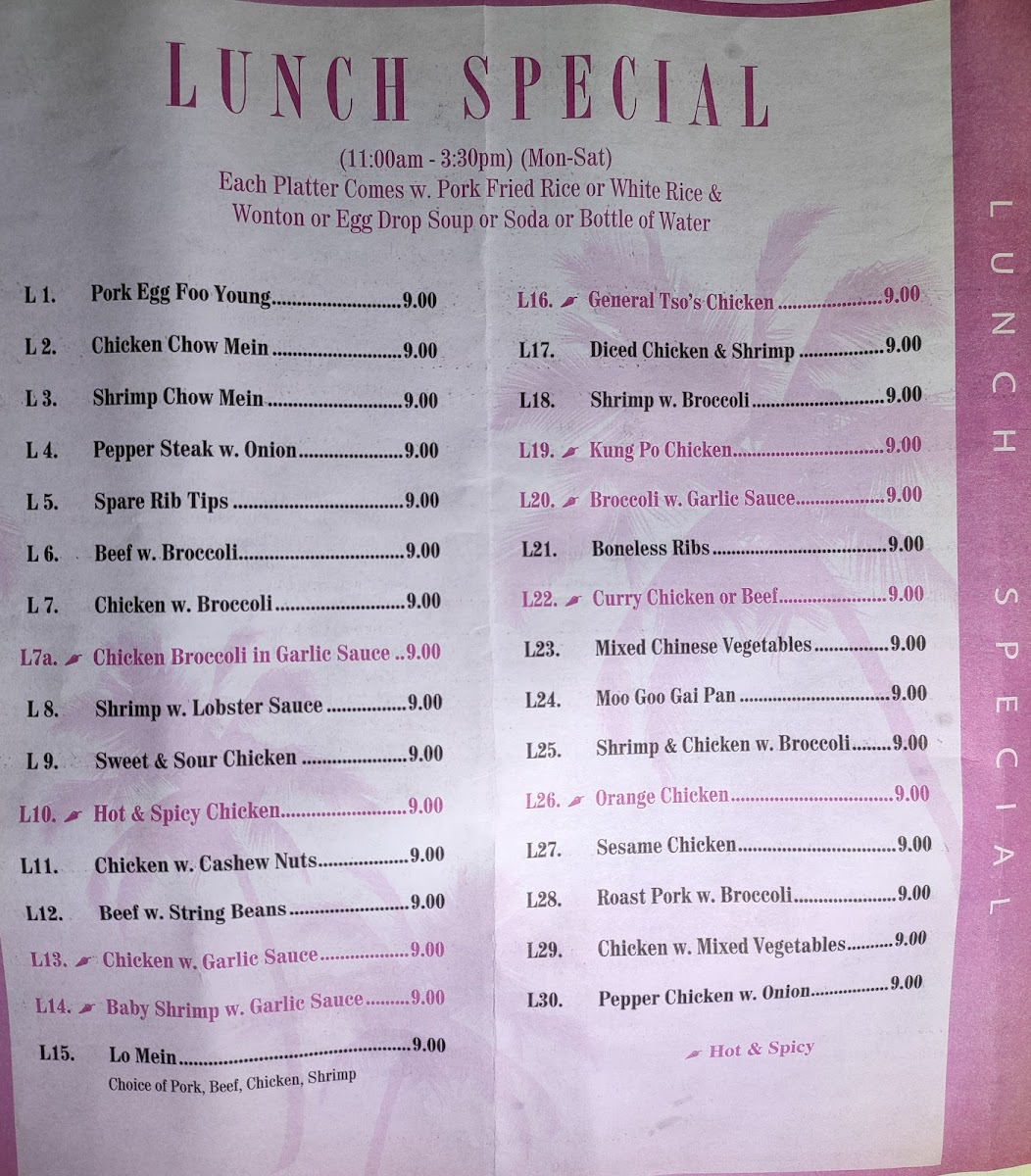 Choi Yuan Photo Menu 2