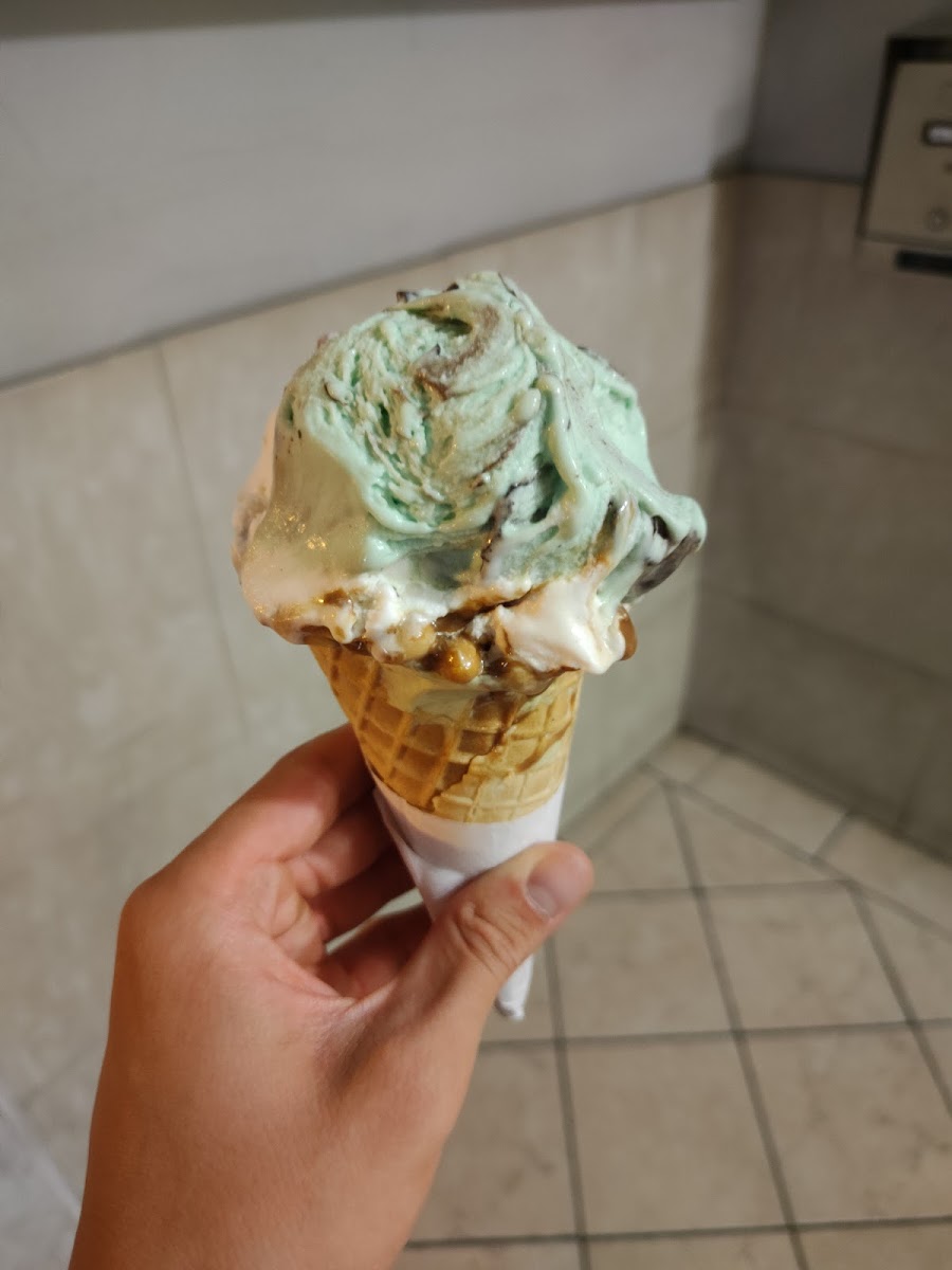 Gelateria Ice Cream Lolly Photo 7