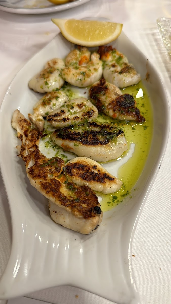Restaurante Zacarías Valencia Photo 5