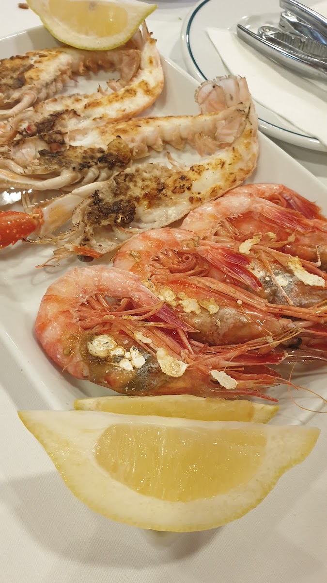 Restaurante Zacarías Valencia Photo 7