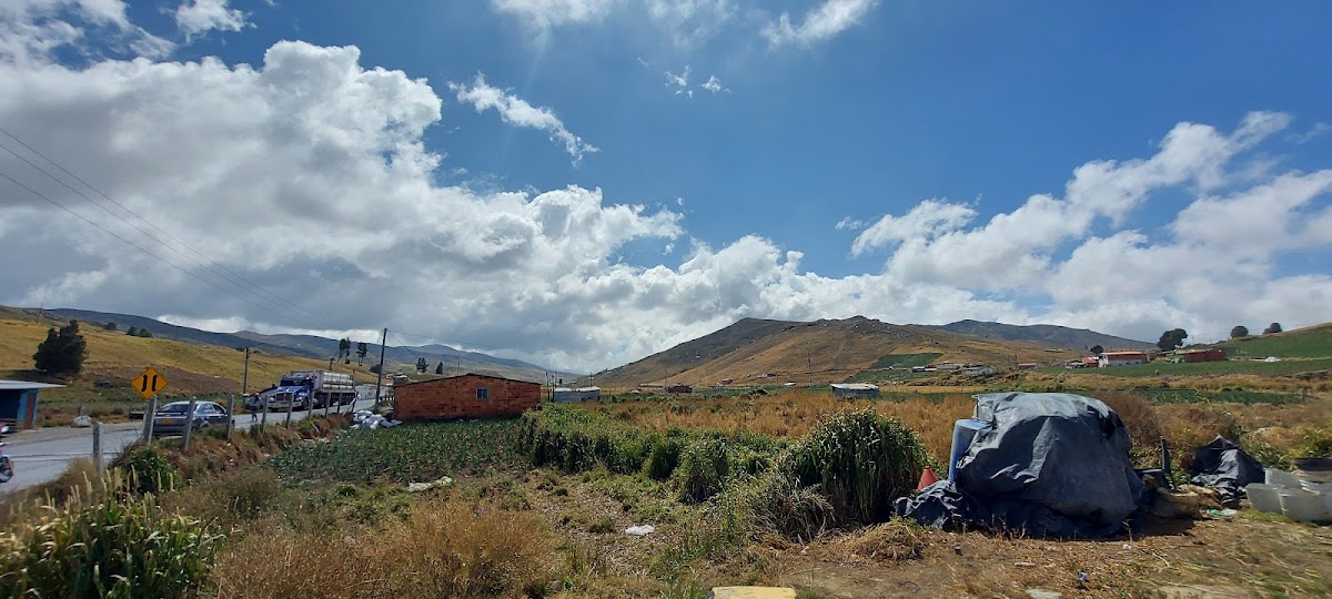 Mercado Amparito