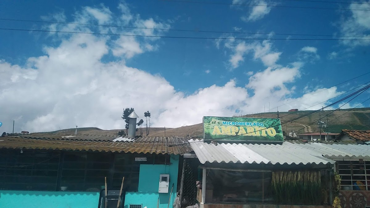 Mercado Amparito Photo 4