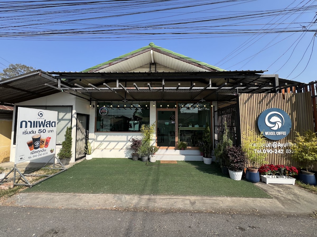 Weasel Coffee Ayutthaya (กาแฟชะมด อยุธยา)