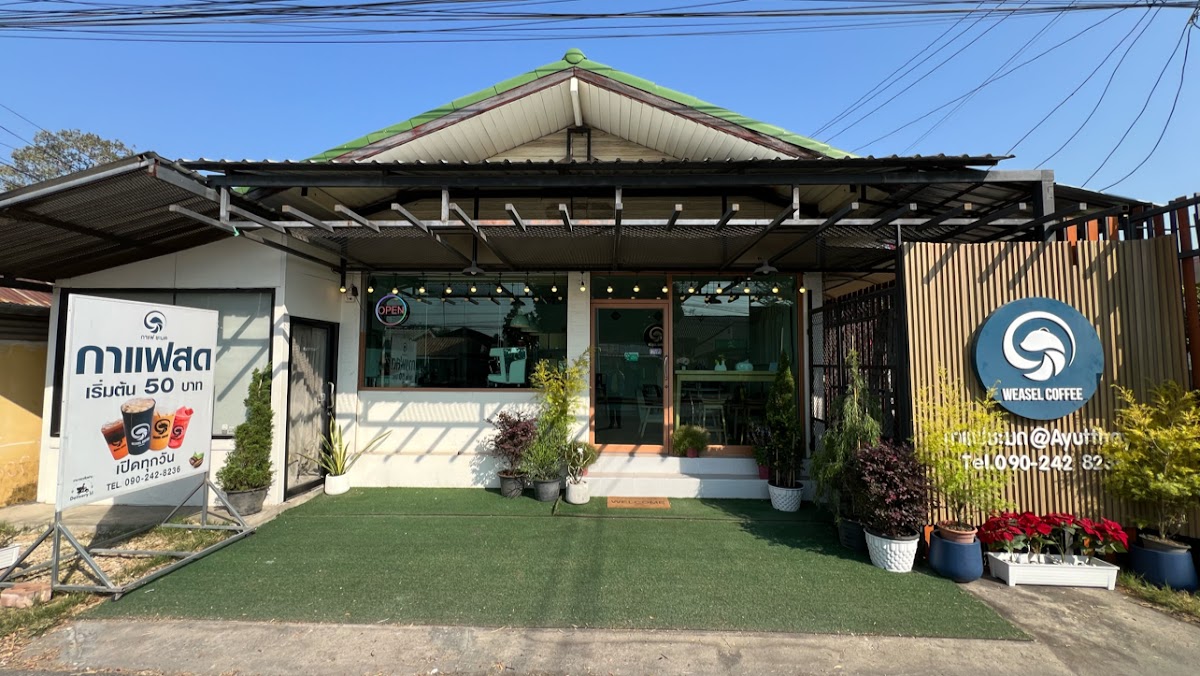 Weasel Coffee Ayutthaya (กาแฟชะมด อยุธยา) Photo 3