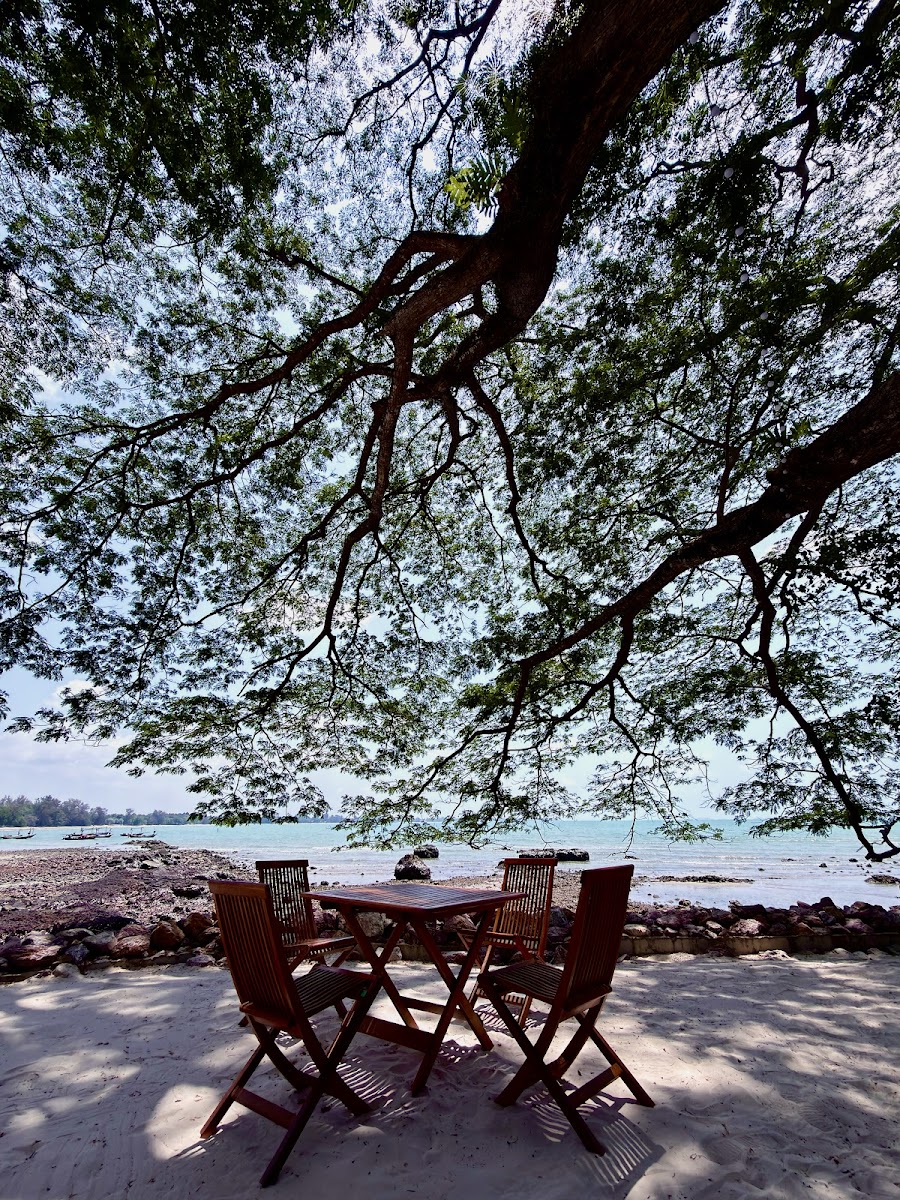 Bambu Beach Club Photo 3