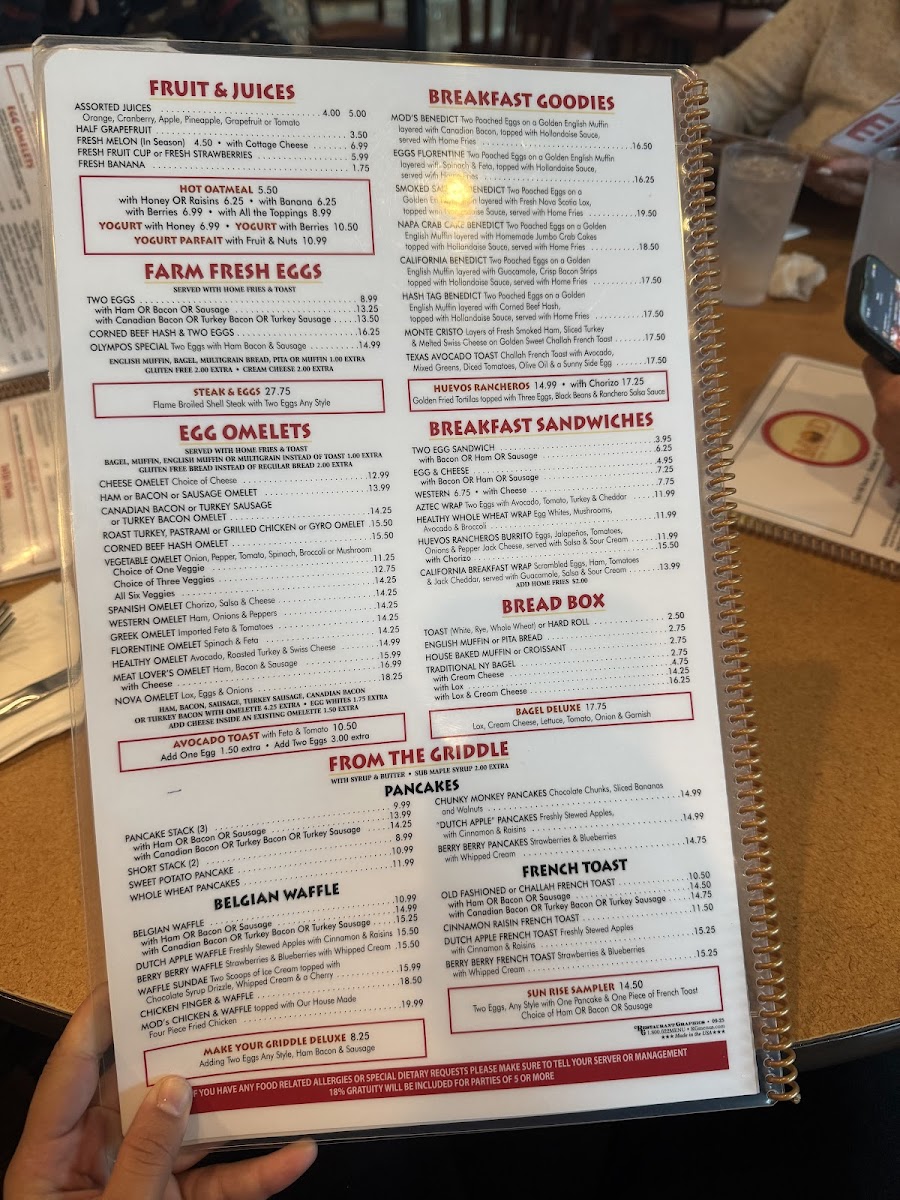 Mont Olympos Diner Photo Menu 6