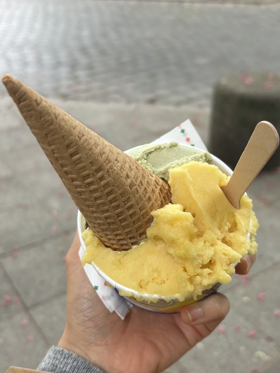 Gelato DISCO (artisanal ice cream) & Waffles Photo 7