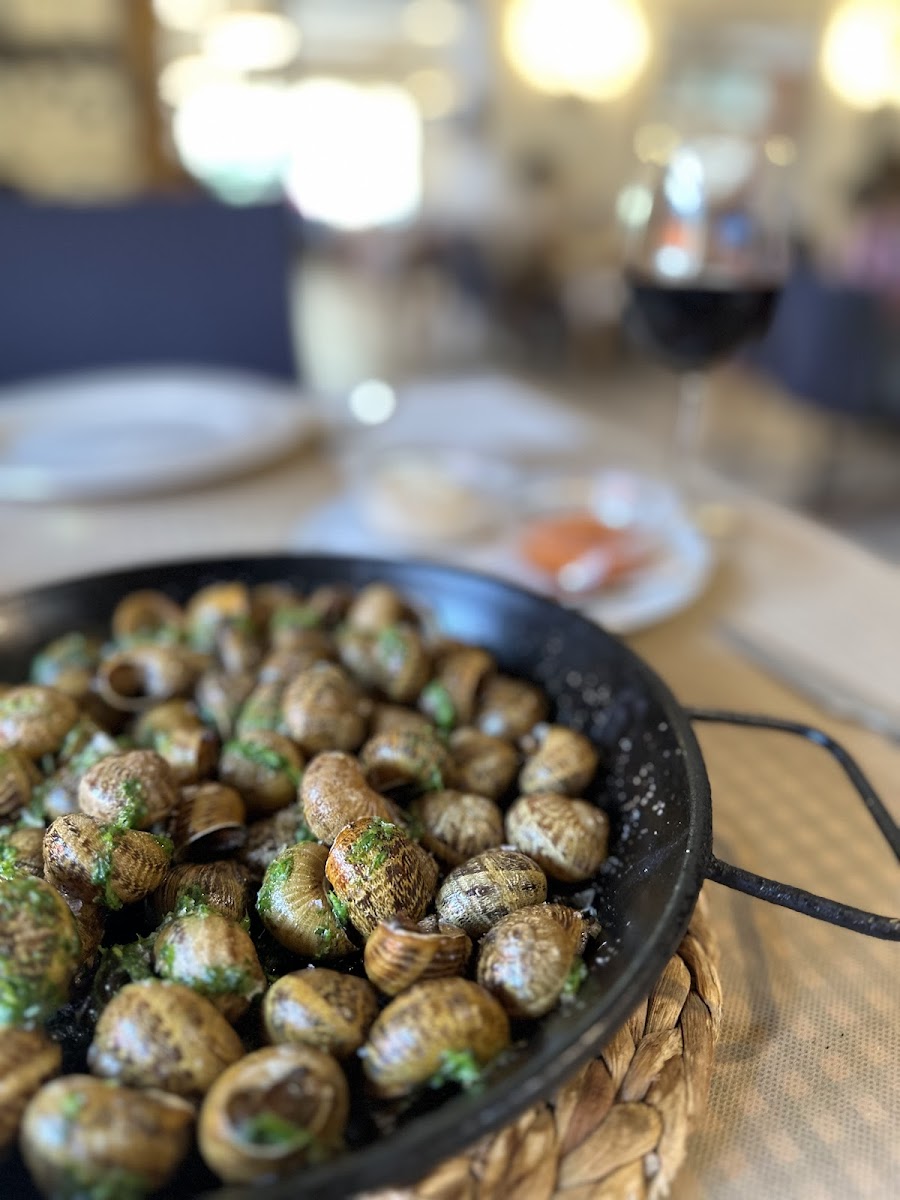 Restaurant Masia Can Sous Photo 6
