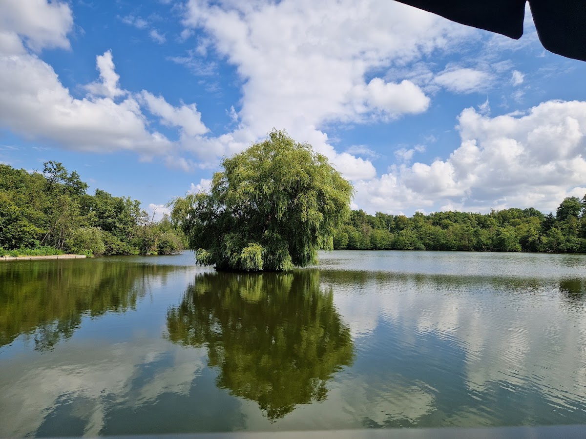 Holtmühle - Café am See Photo 3