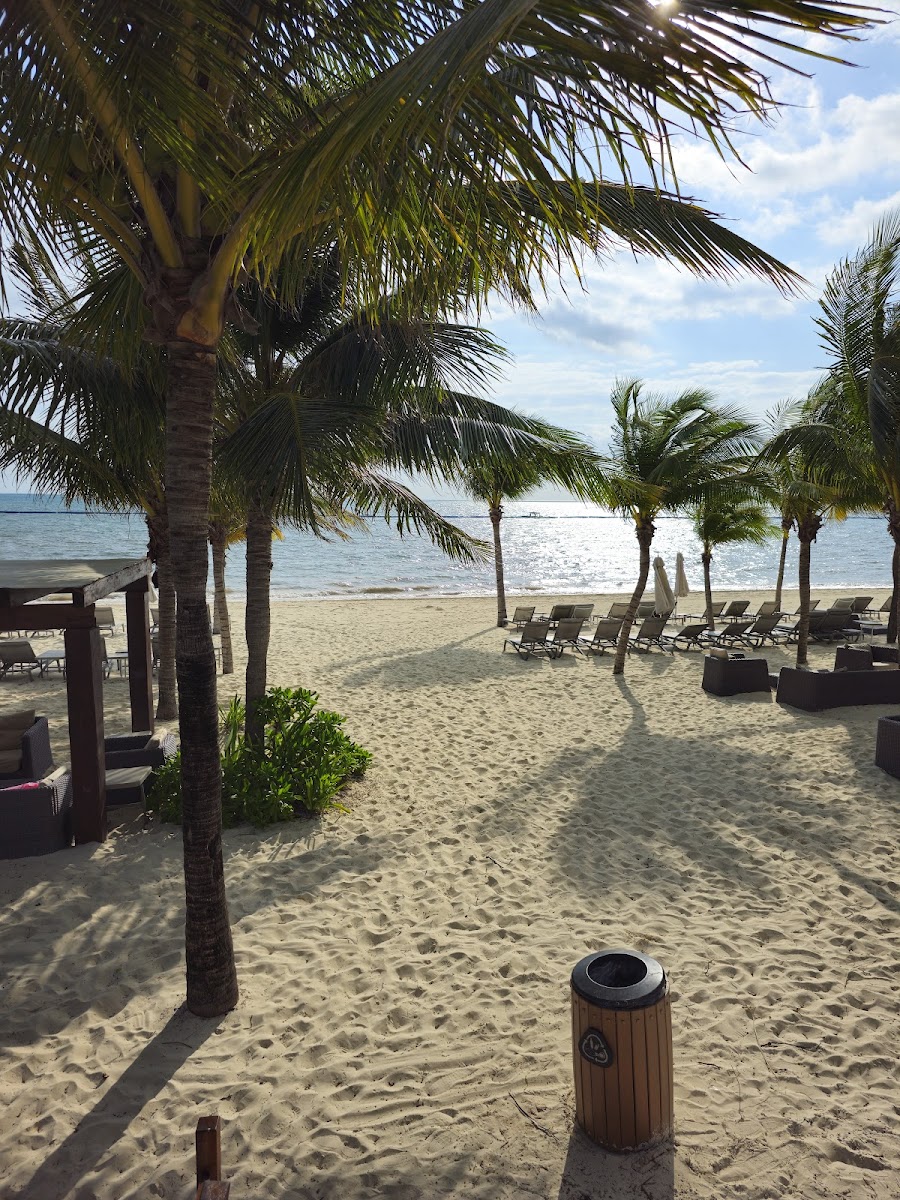 Beach Club Photo 3