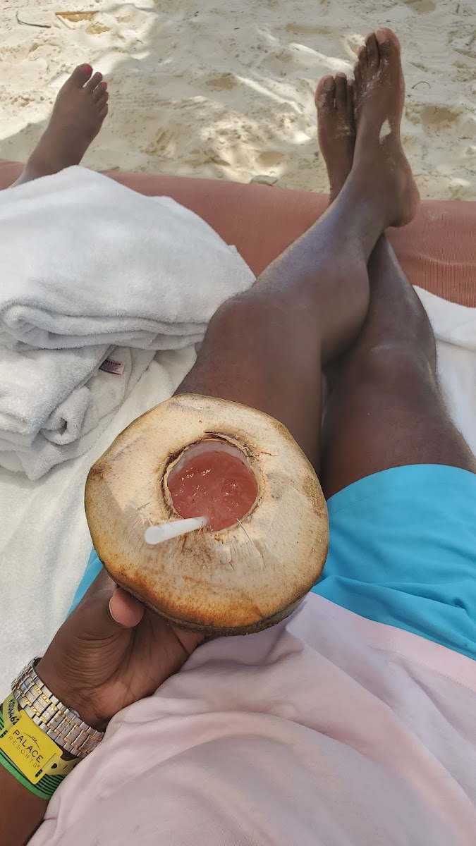 Beach Club Photo 7