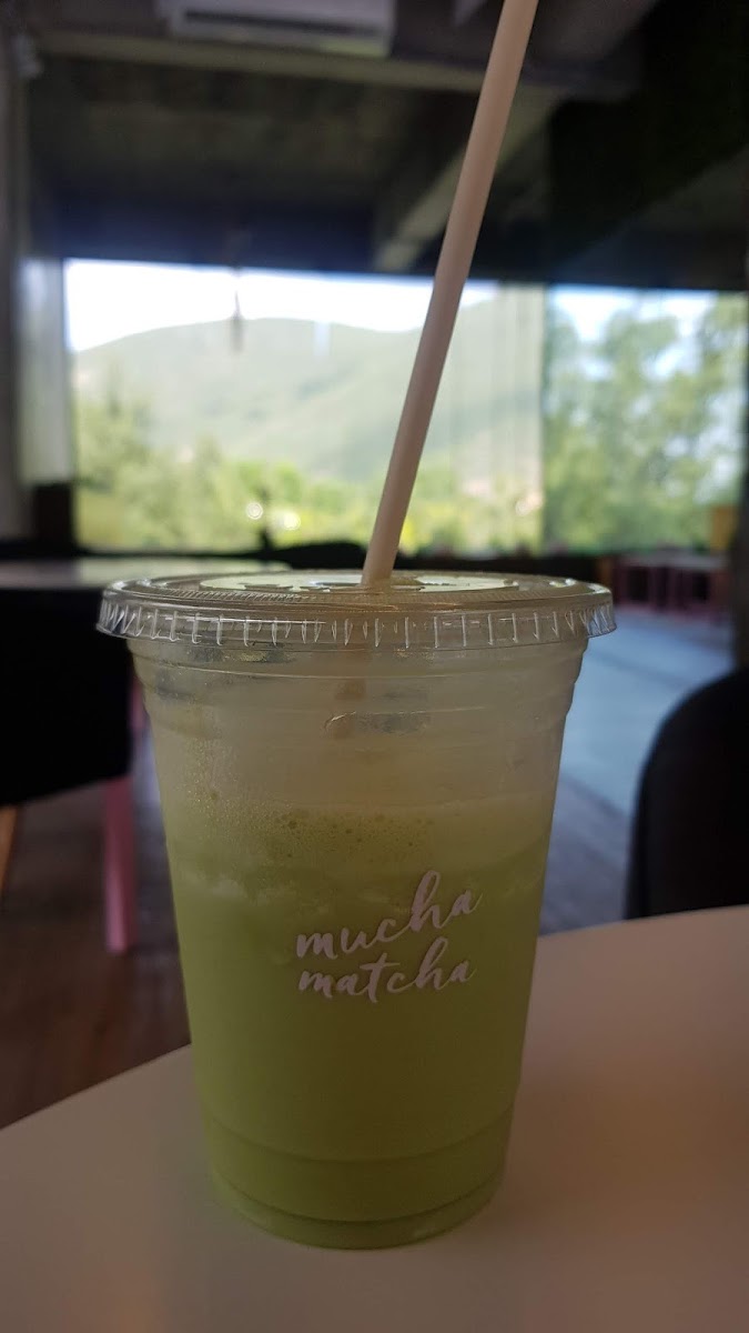 Mucha Matcha Photo 7