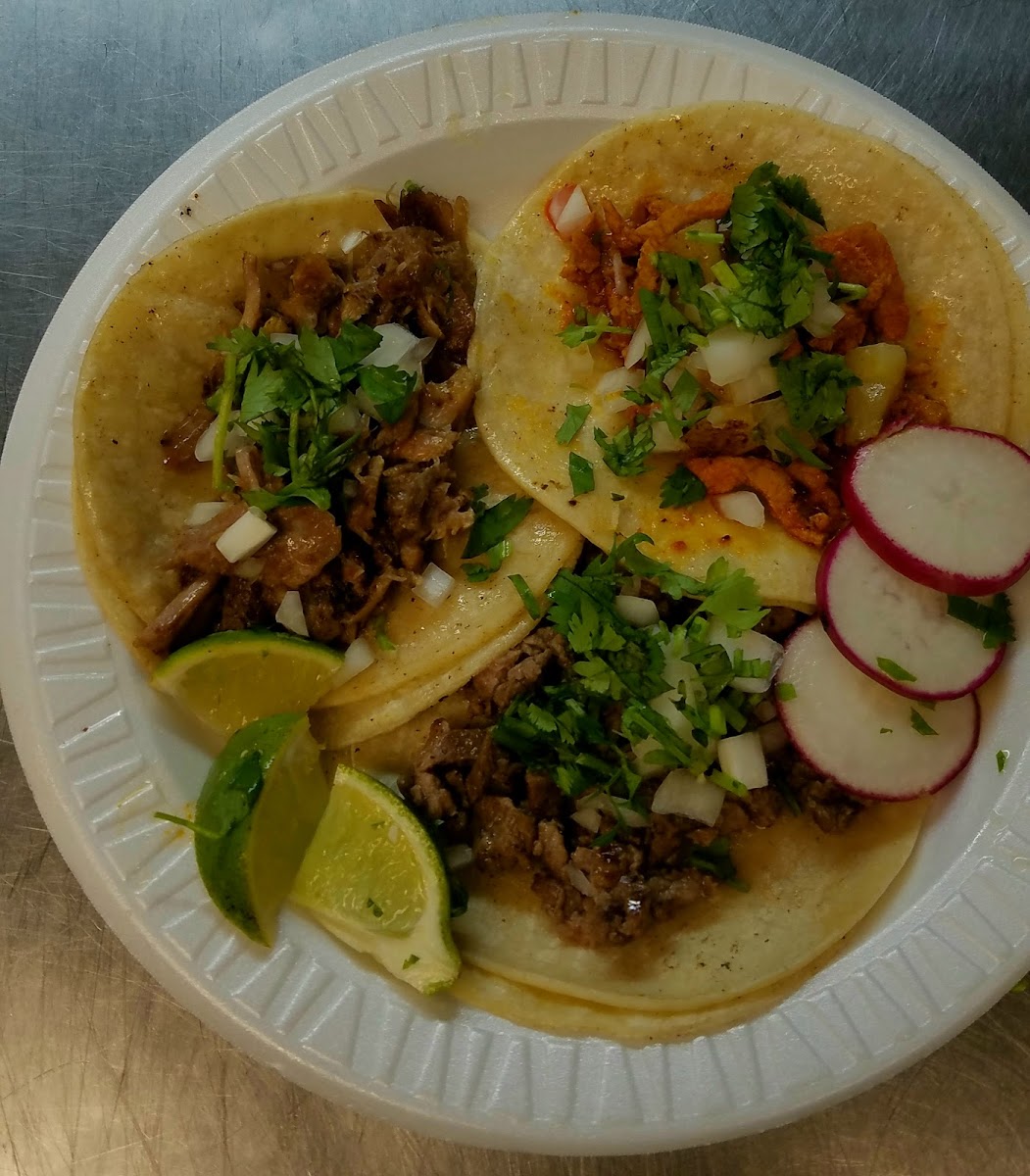 Taqueria Castillos Photo 10