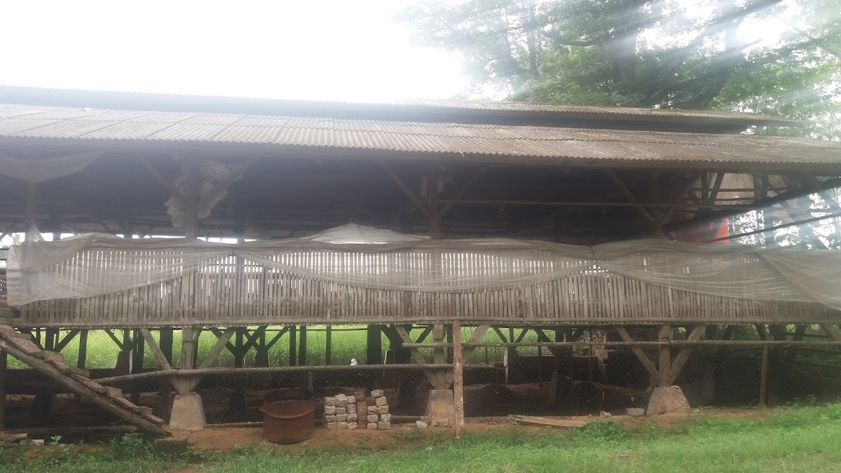 Warung Nasi Kuning Teh Eka Photo 4