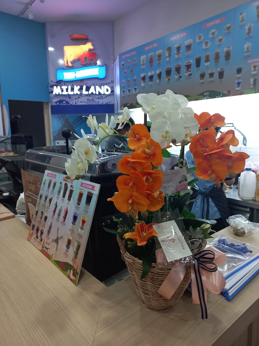 Thai-Denmark MILK LAND Bang Bua Thong Photo 4