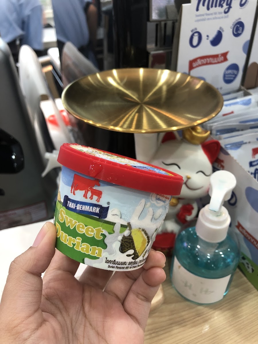 Thai-Denmark MILK LAND Bang Bua Thong Photo 6