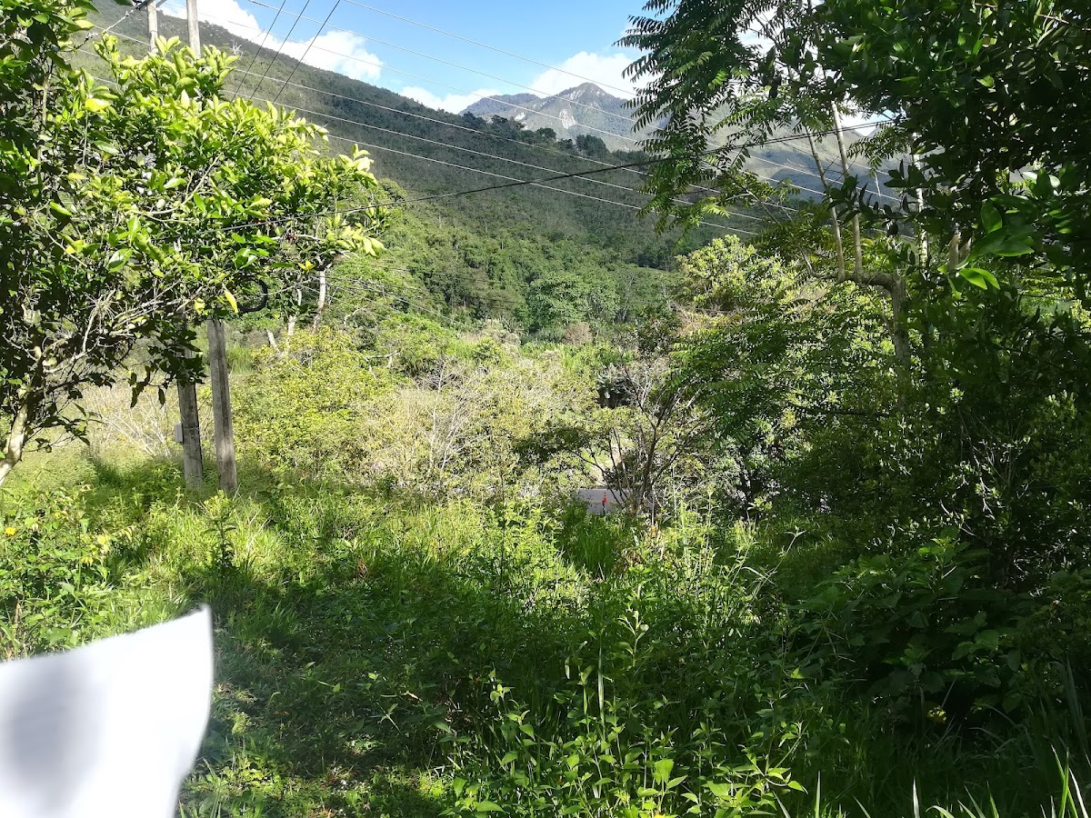 Restaurante Rancho Alegre Photo 2