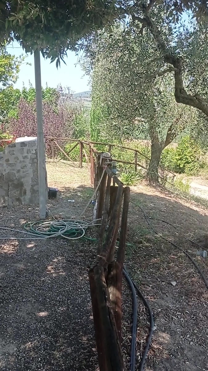Ristorante Il Caio Photo 2