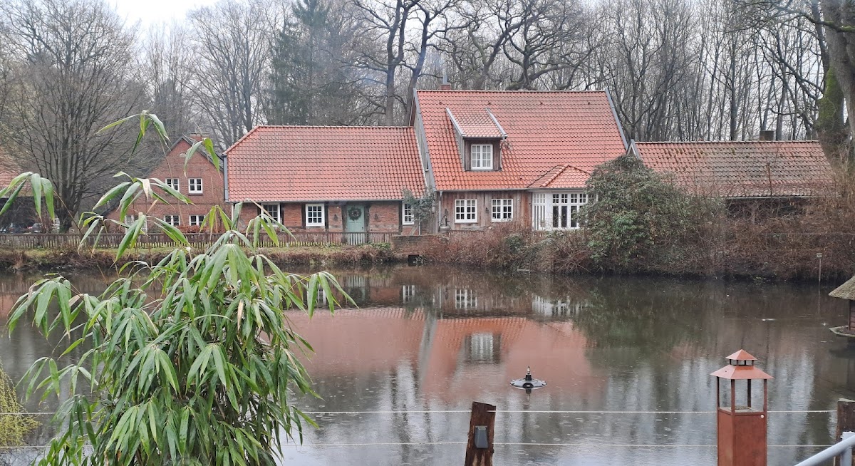 Gut Welpe Photo 3